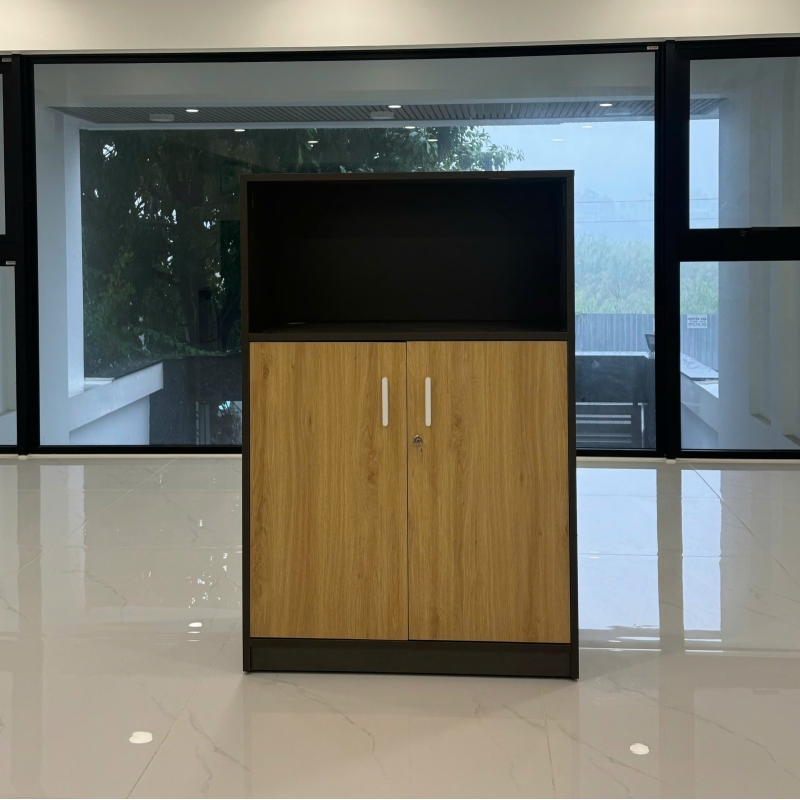 Tủ Tài Liệu Gỗ 2 Cánh Hiện Đại - THS255