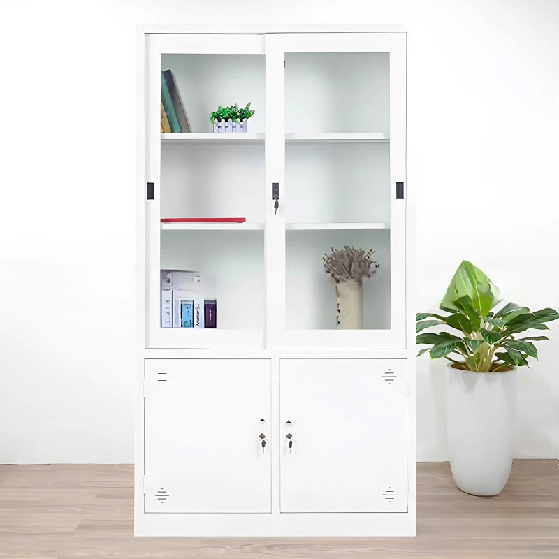 Tủ Locker 2 Cánh Trượt Trong Suốt - TLK52