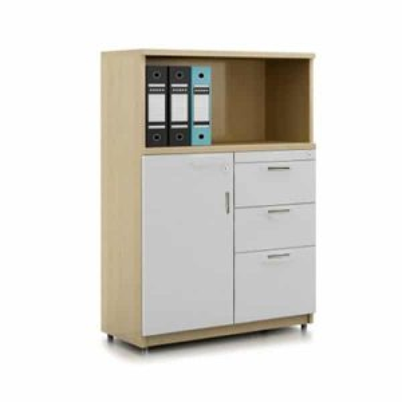 Tủ Tài Liệu Gỗ Thấp Có Ngăn Kéo - THS69