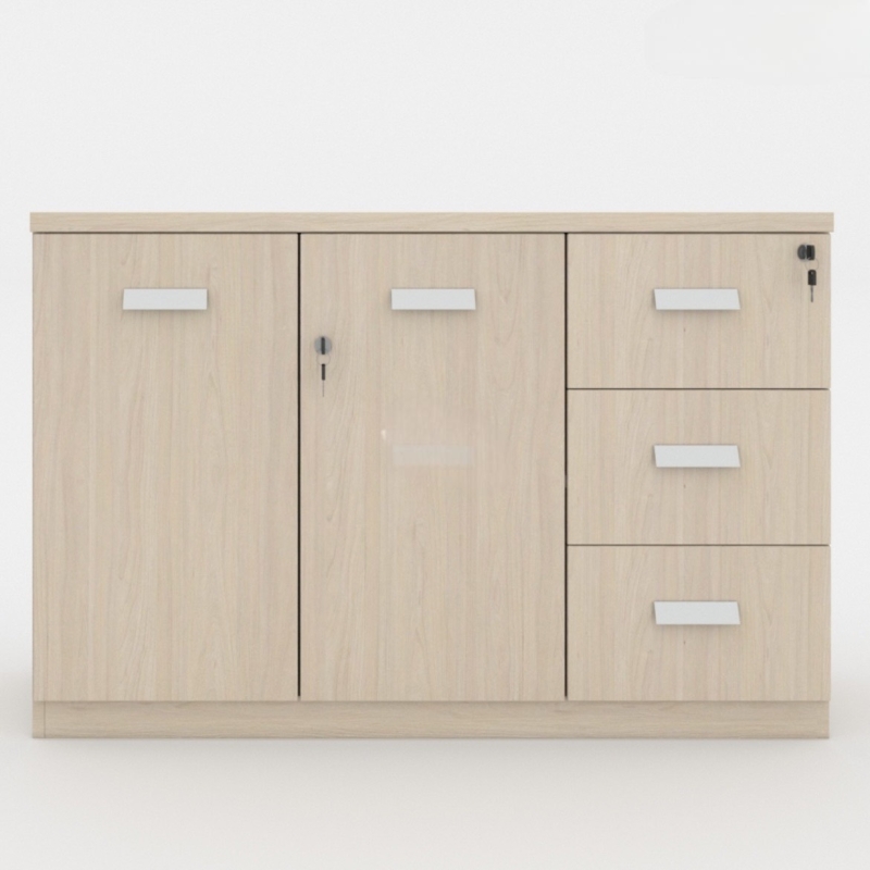 Tủ Tài Liệu Gỗ Thấp 2 Cánh Và 3 Ngắn - THS136