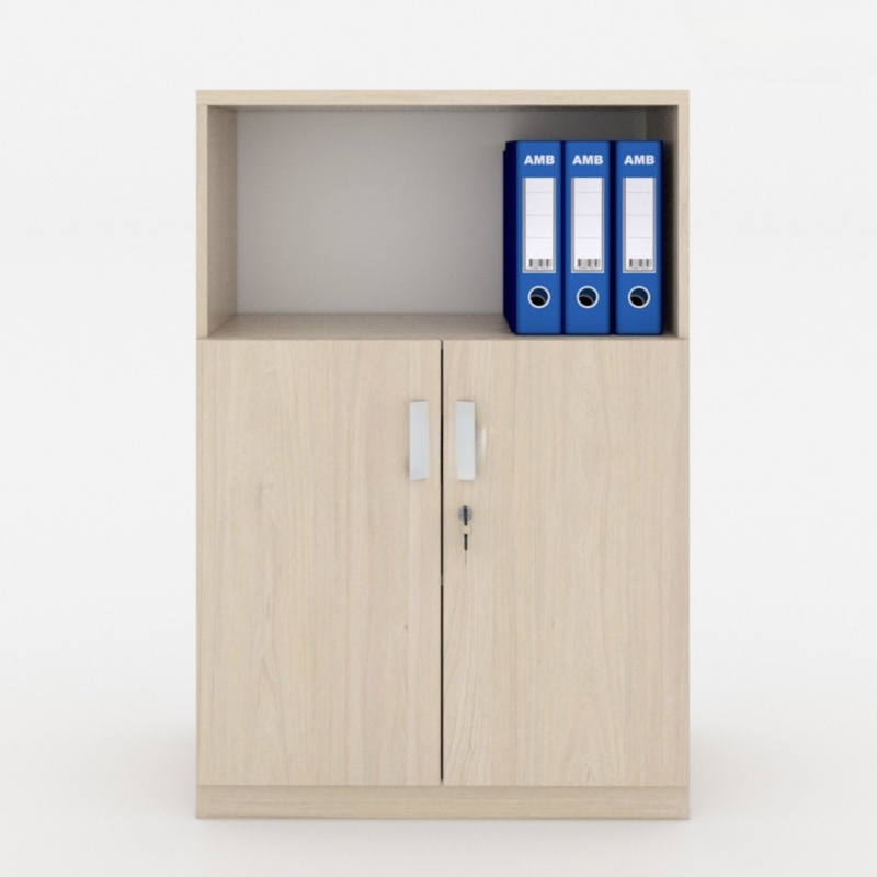 Tủ Tài Liệu Gỗ Dạng Thấp 2 Cánh - THS105