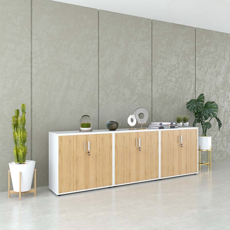 Tủ Tài Liệu Gỗ Dạng Trung Hiện Đại - THS100