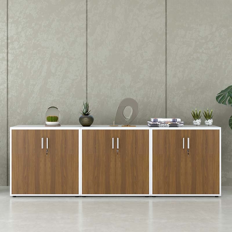 Tủ Tài Liệu Gỗ Dạng Trung Hiện Đại - THS100