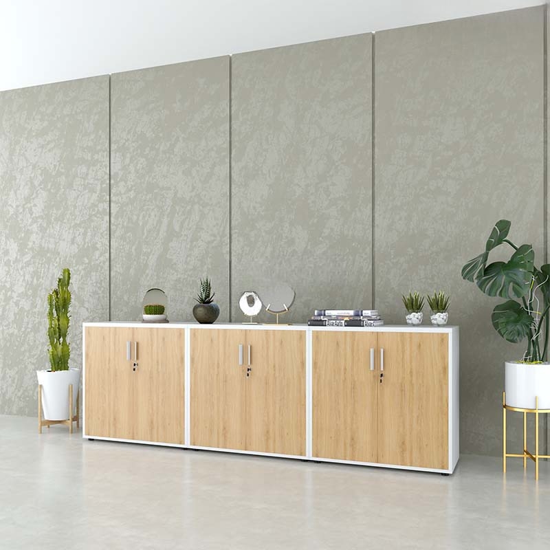 Tủ Tài Liệu Gỗ Dạng Trung Hiện Đại - THS100
