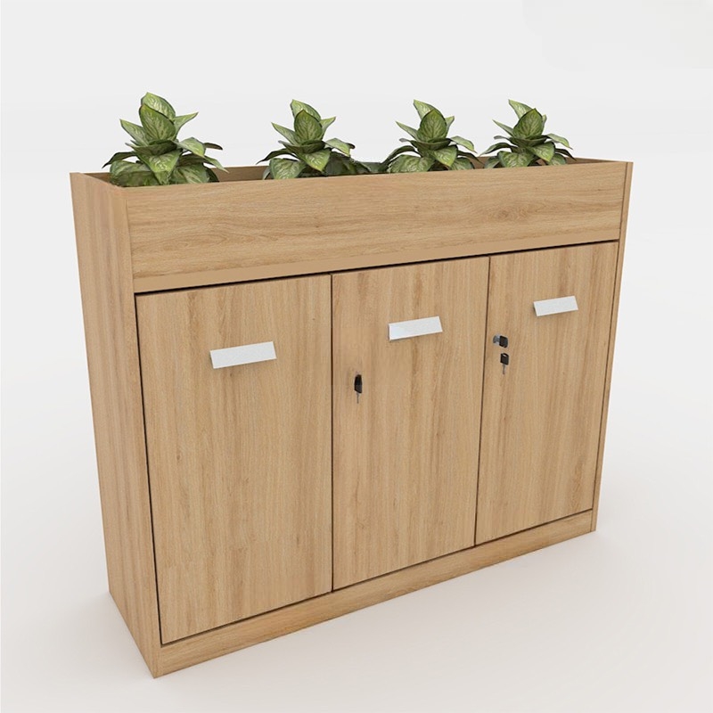 Tủ Tài Liệu Gỗ Trang Trí  Cây Xanh Hiện Đại - THS155