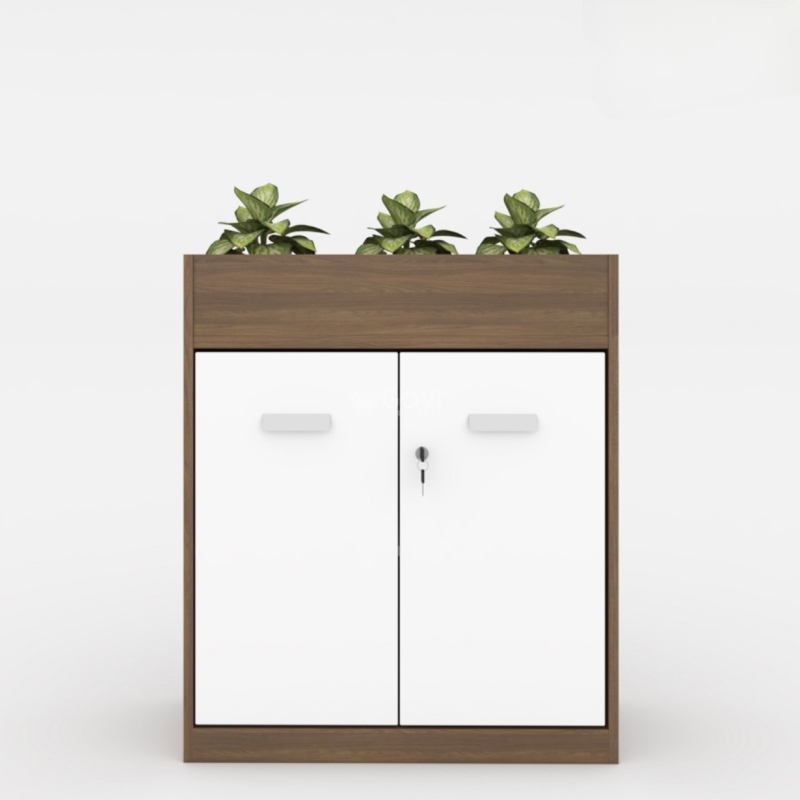 Tủ Tài Liệu Gỗ Trưng Bày Cây Xanh - THS156
