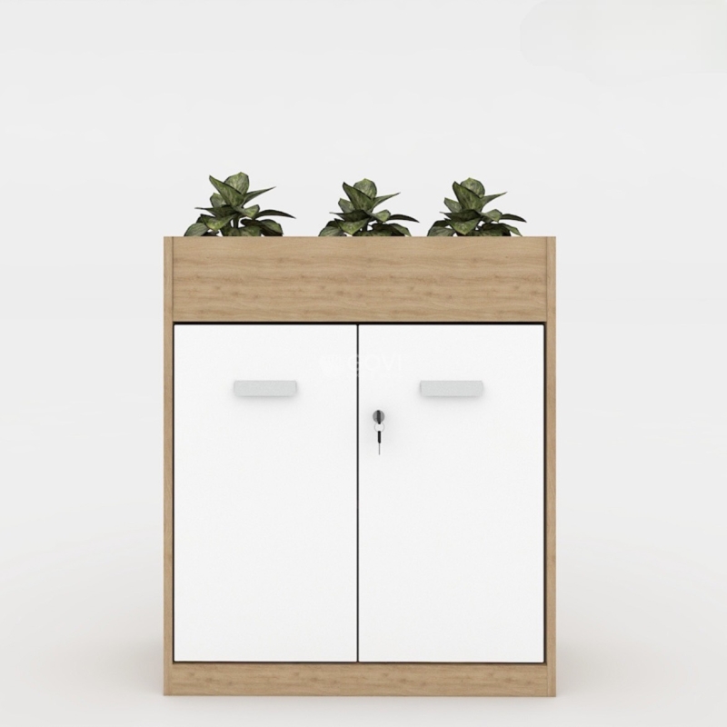 Tủ Tài Liệu Gỗ Trưng Bày Cây Xanh - THS156