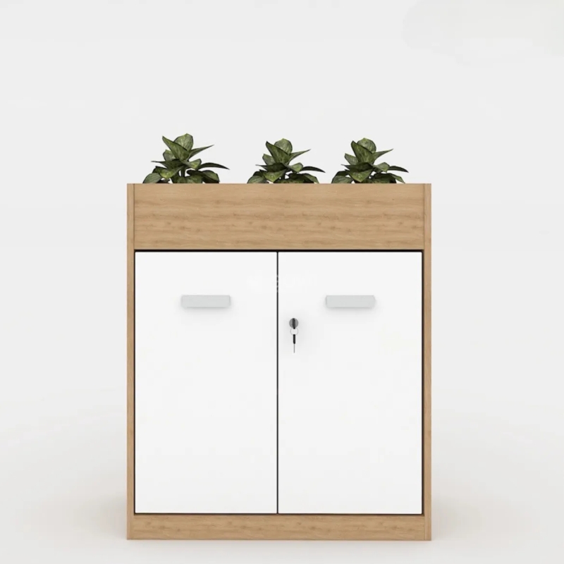 Tủ Tài Liệu Gỗ Trưng Bày Cây Xanh - THS156