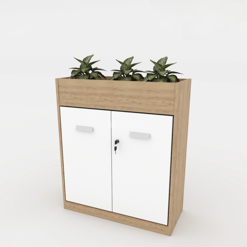 Tủ Tài Liệu Gỗ Trưng Bày Cây Xanh - THS156