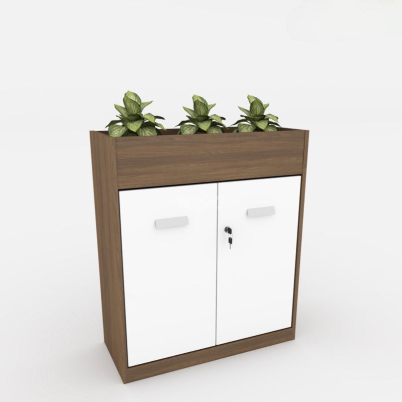 Tủ Tài Liệu Gỗ Trưng Bày Cây Xanh - THS156