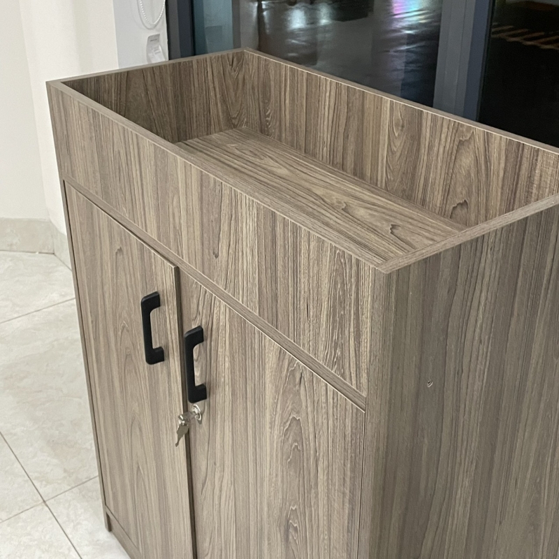 Tủ Tài Liệu Gỗ Để Cây Trang Trí Dạng Lửng - THS222