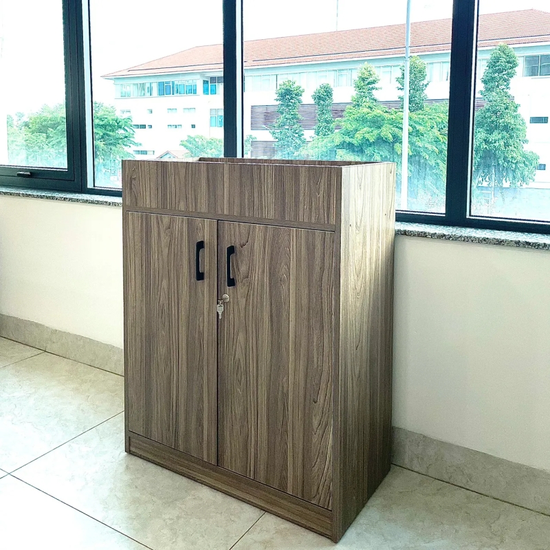 Tủ Tài Liệu Gỗ Để Cây Trang Trí Dạng Lửng - THS222