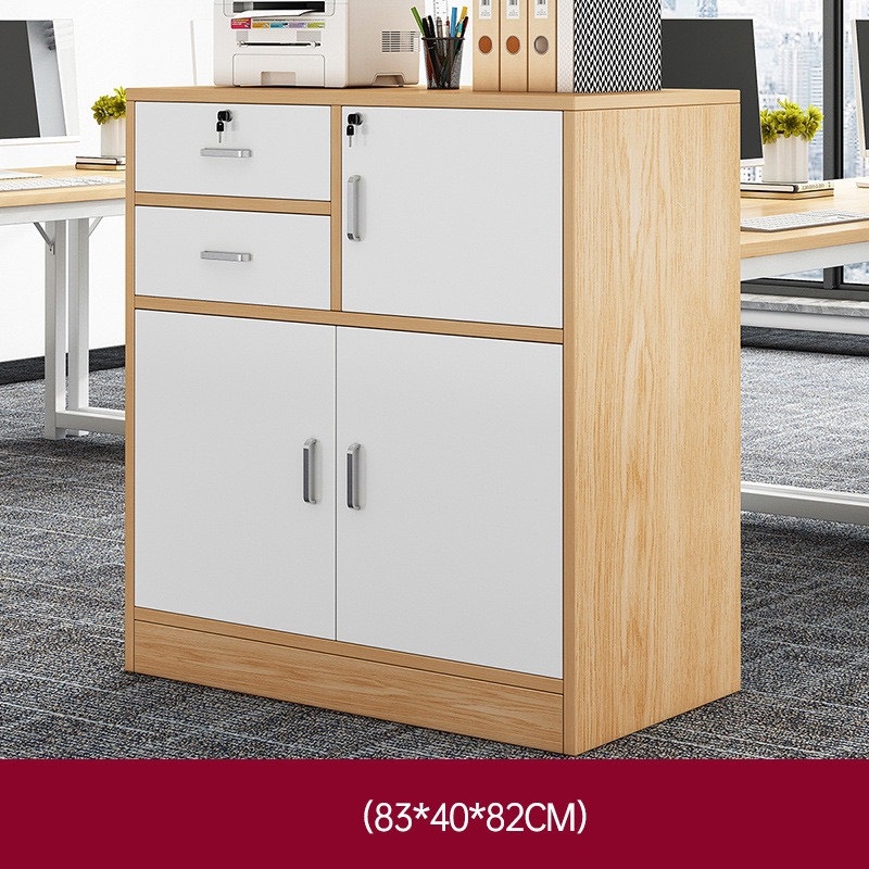 Tủ Tài Liệu Gỗ Thấp Nhiều Ngăn Đa Năng - THS229